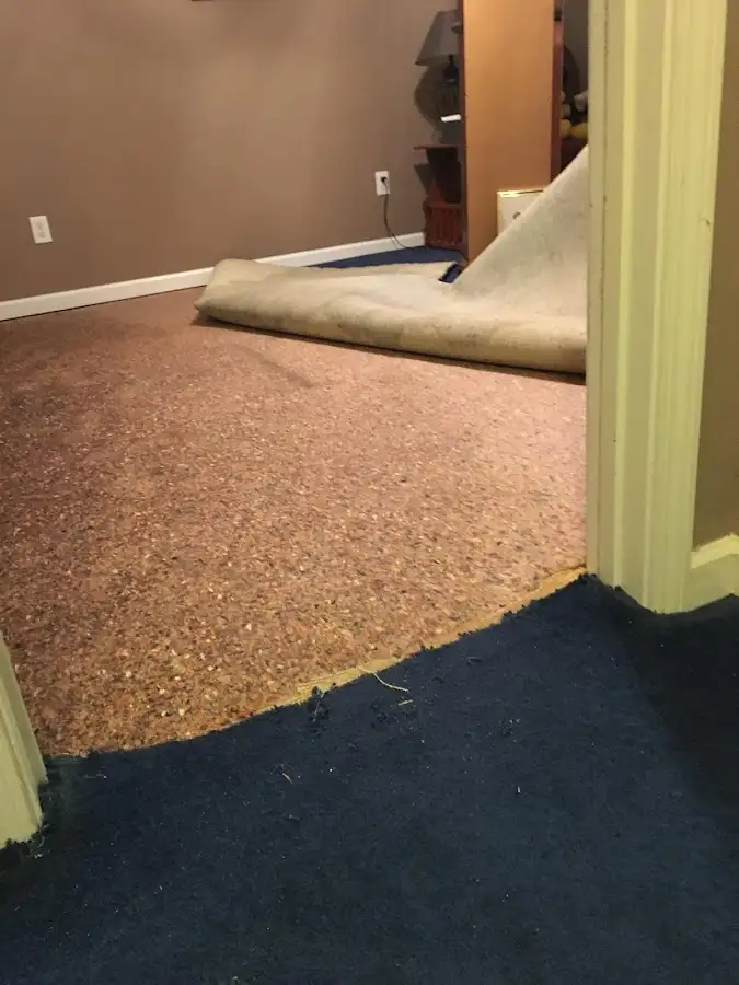 Carpet pad removal revealing water damage during Drying & Dehumidification in Scituate
